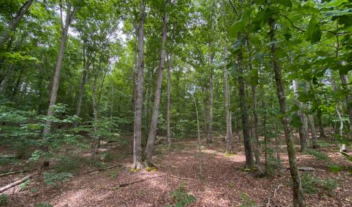 Photo #19 of SOLD property in 396 Raymond Lowery Drive, Roxboro, NC 225.0 acres