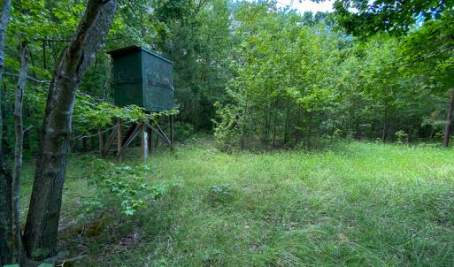 Photo #23 of SOLD property in 396 Raymond Lowery Drive, Roxboro, NC 225.0 acres