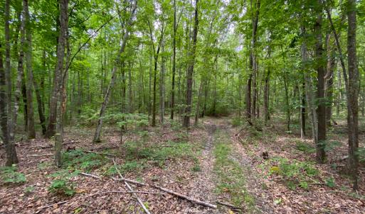 Photo #24 of SOLD property in 396 Raymond Lowery Drive, Roxboro, NC 225.0 acres