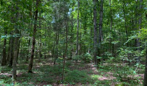 Photo #25 of SOLD property in 396 Raymond Lowery Drive, Roxboro, NC 225.0 acres