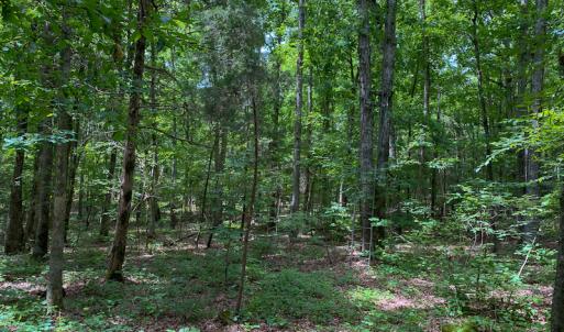 Photo #25 of SOLD property in 396 Raymond Lowery Drive, Roxboro, NC 225.0 acres