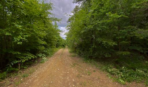 Photo #26 of SOLD property in 396 Raymond Lowery Drive, Roxboro, NC 225.0 acres