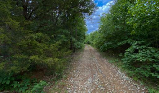 Photo #27 of SOLD property in 396 Raymond Lowery Drive, Roxboro, NC 225.0 acres