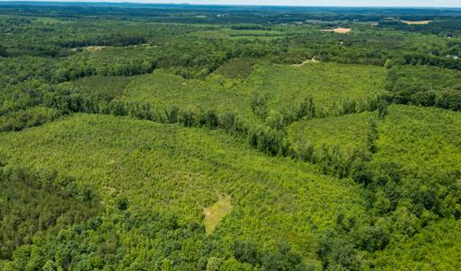 Photo #34 of SOLD property in 396 Raymond Lowery Drive, Roxboro, NC 225.0 acres