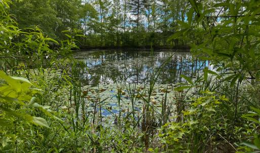 Photo #6 of SOLD property in 396 Raymond Lowery Drive, Roxboro, NC 225.0 acres