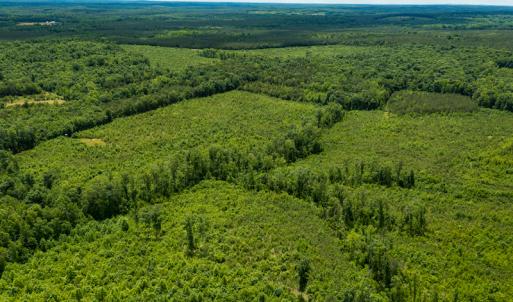 Photo #35 of SOLD property in 396 Raymond Lowery Drive, Roxboro, NC 225.0 acres
