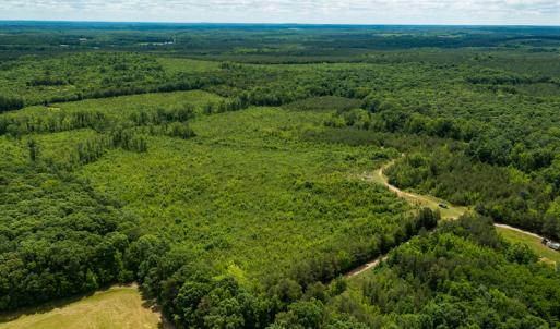 Photo #36 of SOLD property in 396 Raymond Lowery Drive, Roxboro, NC 225.0 acres