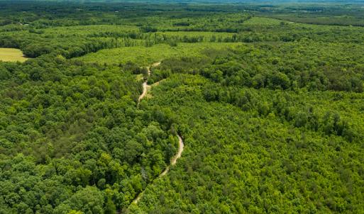 Photo #37 of SOLD property in 396 Raymond Lowery Drive, Roxboro, NC 225.0 acres