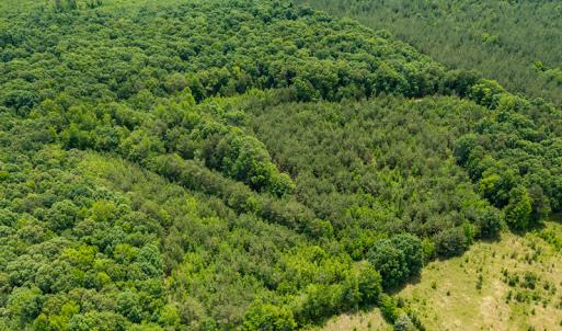 Photo #38 of SOLD property in 396 Raymond Lowery Drive, Roxboro, NC 225.0 acres