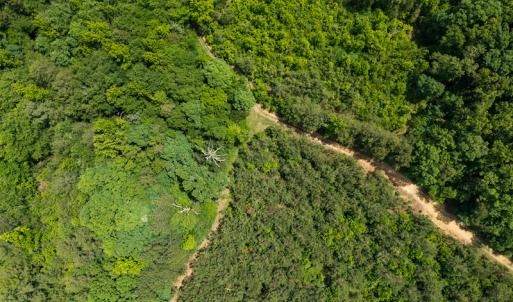 Photo #39 of SOLD property in 396 Raymond Lowery Drive, Roxboro, NC 225.0 acres