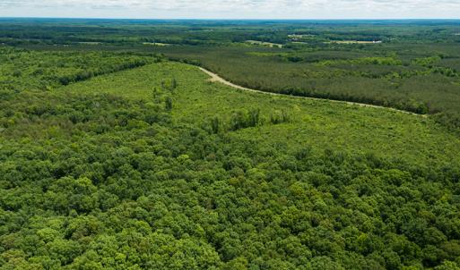 Photo #40 of SOLD property in 396 Raymond Lowery Drive, Roxboro, NC 225.0 acres