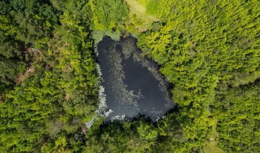 Photo #41 of SOLD property in 396 Raymond Lowery Drive, Roxboro, NC 225.0 acres