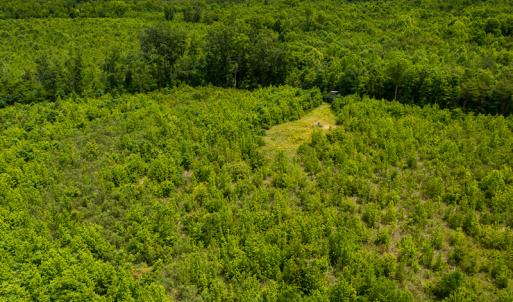 Photo #42 of SOLD property in 396 Raymond Lowery Drive, Roxboro, NC 225.0 acres