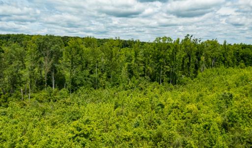 Photo #43 of SOLD property in 396 Raymond Lowery Drive, Roxboro, NC 225.0 acres