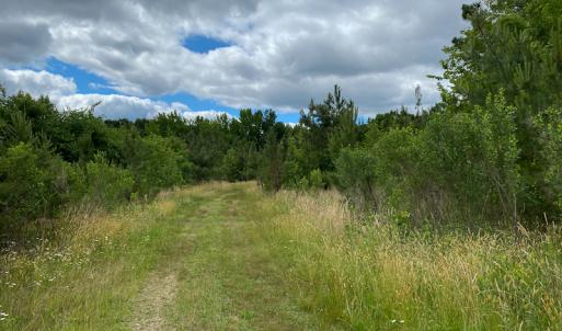 Photo #46 of SOLD property in 396 Raymond Lowery Drive, Roxboro, NC 225.0 acres