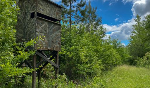 Photo #47 of SOLD property in 396 Raymond Lowery Drive, Roxboro, NC 225.0 acres