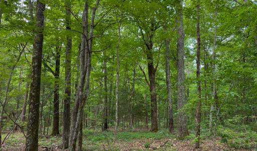 Photo #48 of SOLD property in 396 Raymond Lowery Drive, Roxboro, NC 225.0 acres