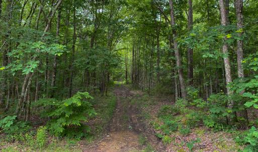 Photo #49 of SOLD property in 396 Raymond Lowery Drive, Roxboro, NC 225.0 acres