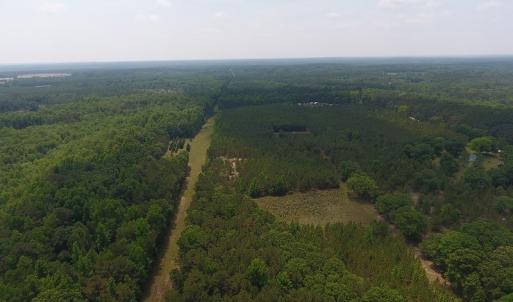 Photo #13 of SOLD property in 1390 Oakland School Road, Cassatt, SC 550.0 acres