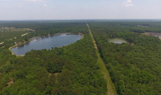 Photo #14 of SOLD property in 1390 Oakland School Road, Cassatt, SC 550.0 acres