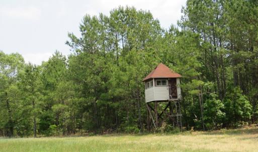 Photo #16 of SOLD property in 1390 Oakland School Road, Cassatt, SC 550.0 acres