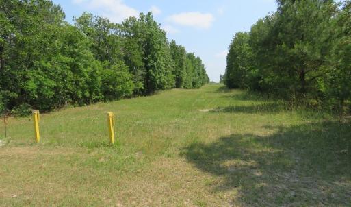 Photo #18 of SOLD property in 1390 Oakland School Road, Cassatt, SC 550.0 acres