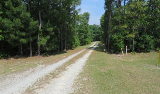 Photo #19 of SOLD property in 1390 Oakland School Road, Cassatt, SC 550.0 acres