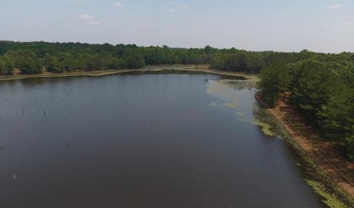 Photo #4 of SOLD property in 1390 Oakland School Road, Cassatt, SC 550.0 acres