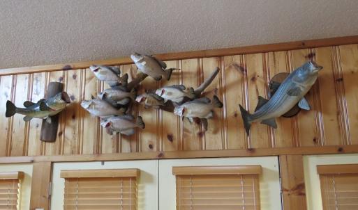 Photo #32 of SOLD property in 1390 Oakland School Road, Cassatt, SC 550.0 acres