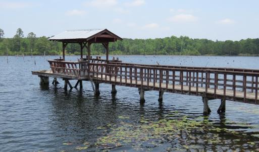 Photo #5 of SOLD property in 1390 Oakland School Road, Cassatt, SC 550.0 acres