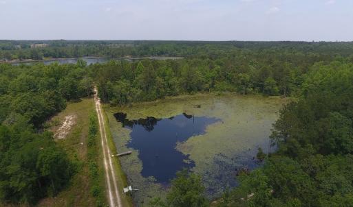 Photo #59 of SOLD property in 1390 Oakland School Road, Cassatt, SC 550.0 acres