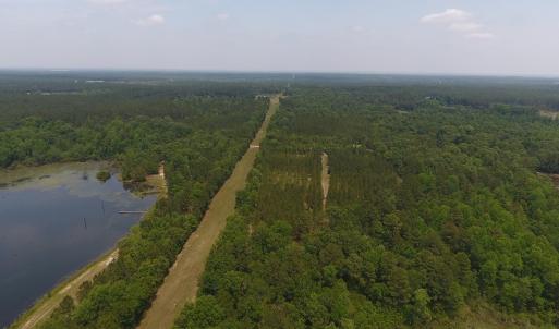 Photo #61 of SOLD property in 1390 Oakland School Road, Cassatt, SC 550.0 acres