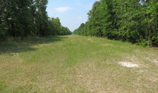 Photo #62 of SOLD property in 1390 Oakland School Road, Cassatt, SC 550.0 acres