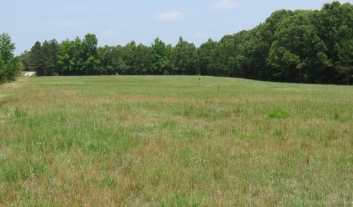Photo #64 of SOLD property in 1390 Oakland School Road, Cassatt, SC 550.0 acres