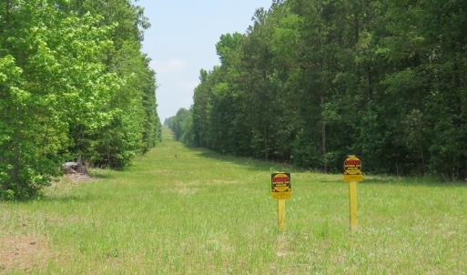 Photo #65 of SOLD property in 1390 Oakland School Road, Cassatt, SC 550.0 acres