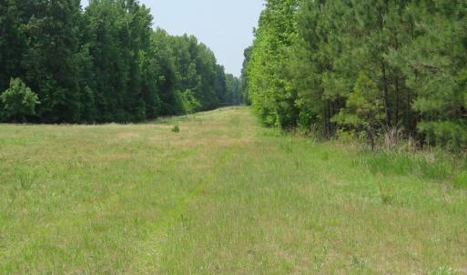 Photo #66 of SOLD property in 1390 Oakland School Road, Cassatt, SC 550.0 acres