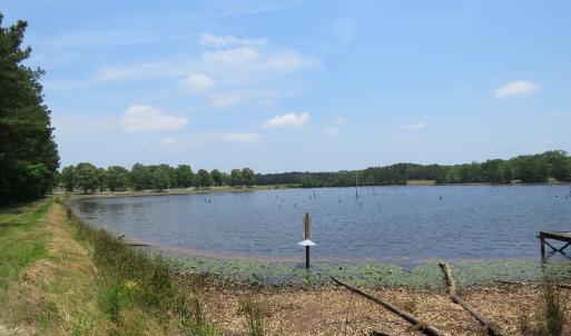 Photo #68 of SOLD property in 1390 Oakland School Road, Cassatt, SC 550.0 acres