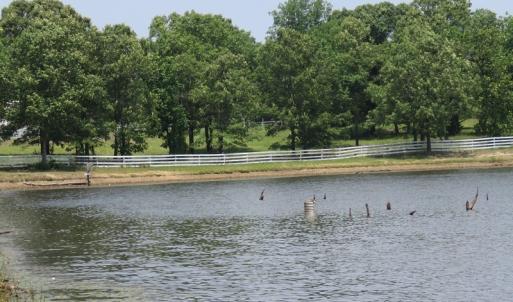 Photo #69 of SOLD property in 1390 Oakland School Road, Cassatt, SC 550.0 acres