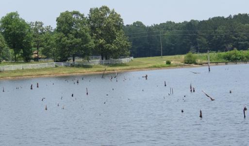 Photo #70 of SOLD property in 1390 Oakland School Road, Cassatt, SC 550.0 acres