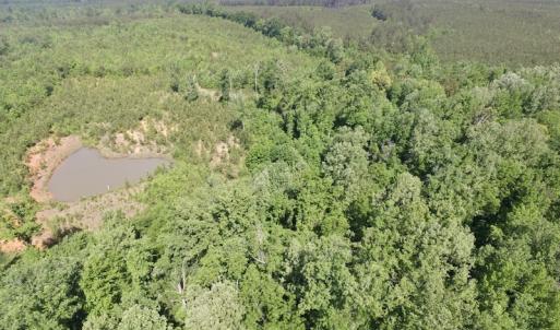 Photo #3 of SOLD property in Doswell Town Road, Meherrin, VA 55.7 acres