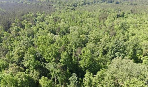 Photo #4 of SOLD property in Doswell Town Road, Meherrin, VA 55.7 acres
