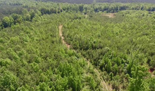Photo #7 of SOLD property in Doswell Town Road, Meherrin, VA 55.7 acres