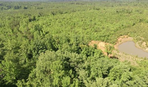 Photo #8 of SOLD property in Doswell Town Road, Meherrin, VA 55.7 acres