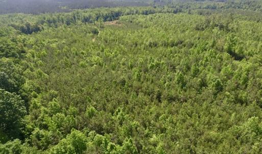 Photo #10 of SOLD property in Doswell Town Road, Meherrin, VA 55.7 acres