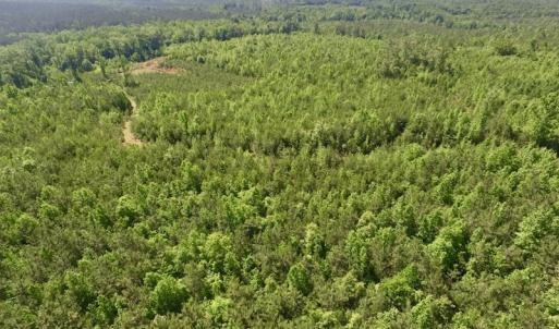 Photo #11 of SOLD property in Doswell Town Road, Meherrin, VA 55.7 acres