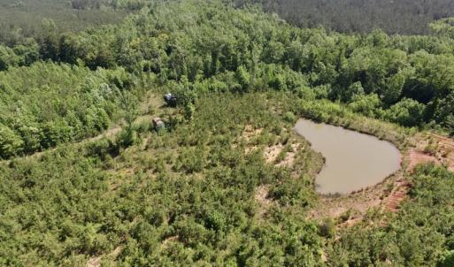 Photo #14 of SOLD property in Doswell Town Road, Meherrin, VA 55.7 acres