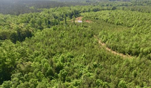 Photo #15 of SOLD property in Doswell Town Road, Meherrin, VA 55.7 acres