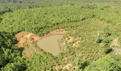 Photo #16 of SOLD property in Doswell Town Road, Meherrin, VA 55.7 acres
