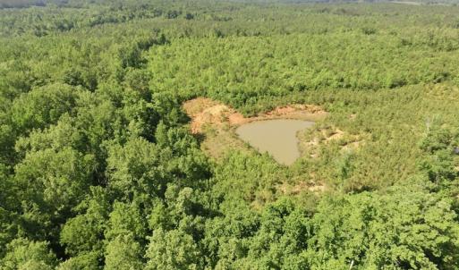 Photo #17 of SOLD property in Doswell Town Road, Meherrin, VA 55.7 acres