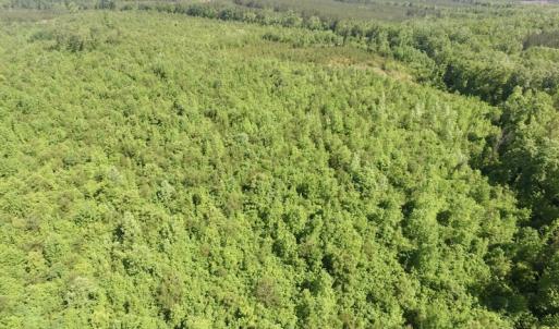 Photo #18 of SOLD property in Doswell Town Road, Meherrin, VA 55.7 acres